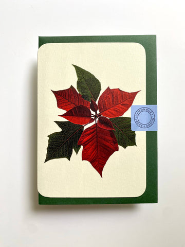 Poinsettia Notecard (green envelope)