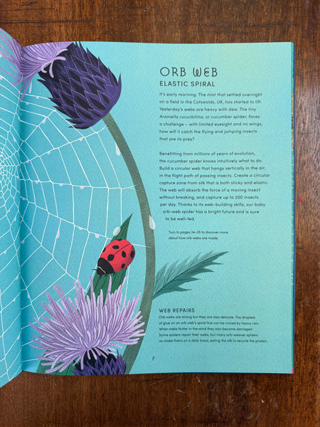 The Secret World of Spider Webs by Jan Beccaloni and Namasri Niumim