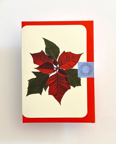 Poinsettia Notecard (red envelope)