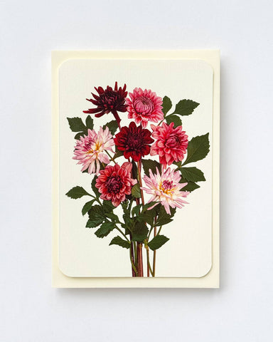 Garden Dahlias Greeting Card