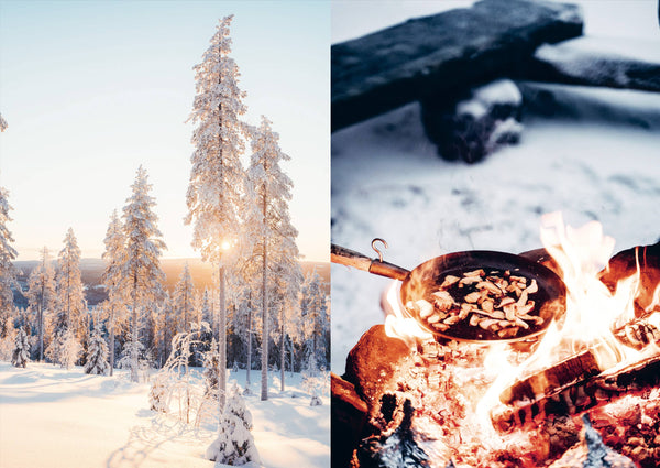 Food in the Wild by Saara Atula + Sonja Lassila