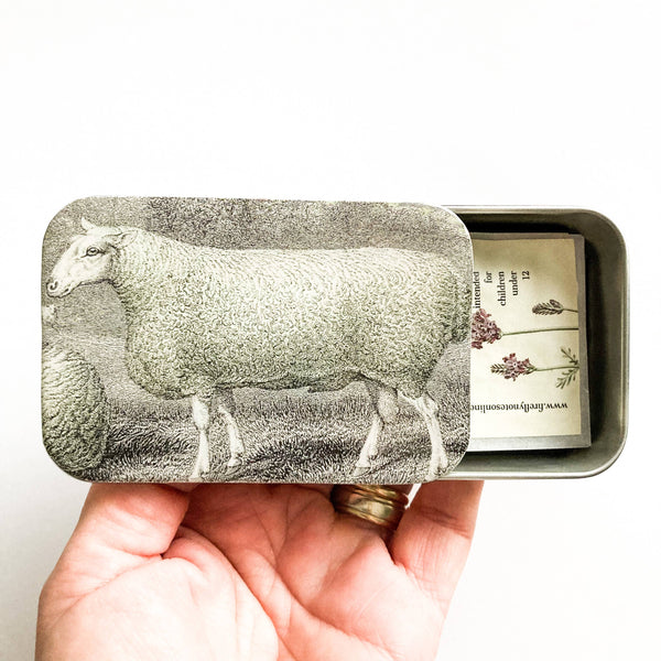 Sheep Tin with Magnet + Notions