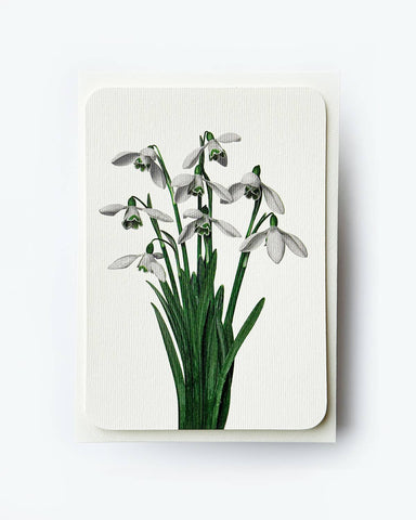Snowdrops Greeting Card