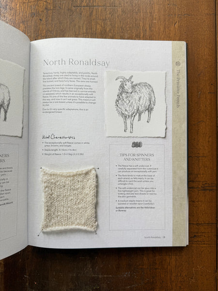 The Wonder of Wool by Justine Lee & Jess Morency