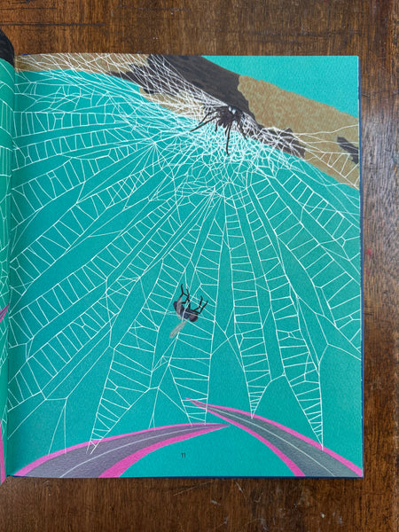 The Secret World of Spider Webs by Jan Beccaloni and Namasri Niumim