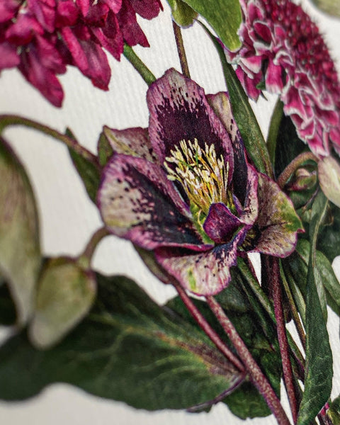 Posy of Hellebore & Scabiosa I Notecard