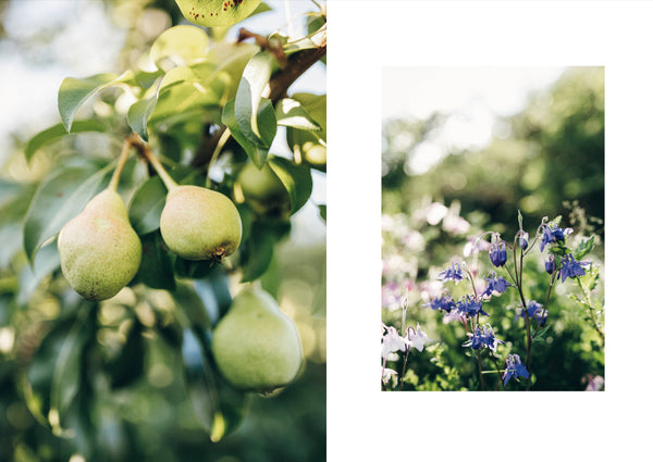 Knits from Our Gardens