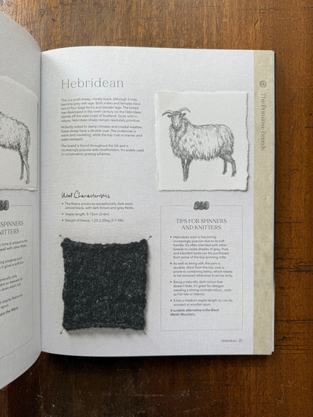 The Wonder of Wool by Justine Lee & Jess Morency
