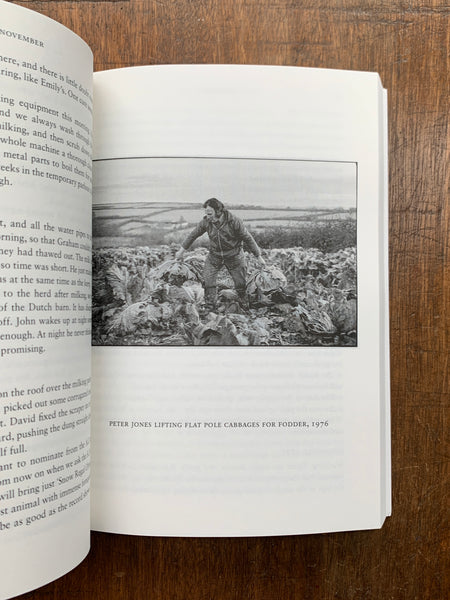 All Around the Year by Michael Morpurgo