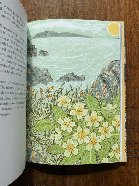 The Book of Wild Flowers by Angie Lewin & Christopher Stocks