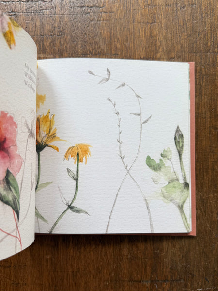 Notes on Summer by Julia Ogden