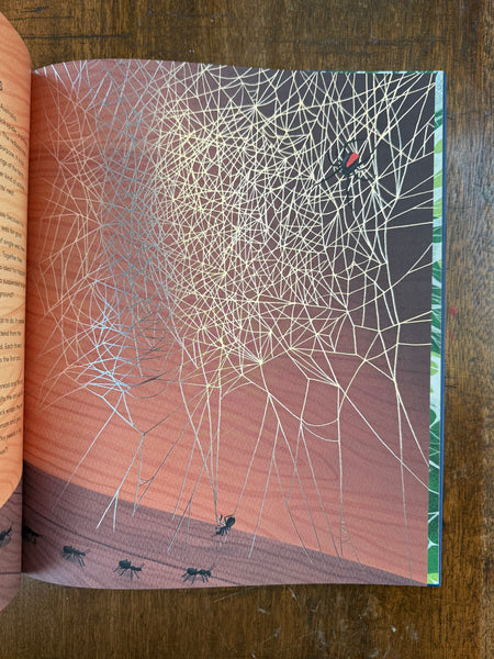 The Secret World of Spider Webs by Jan Beccaloni and Namasri Niumim