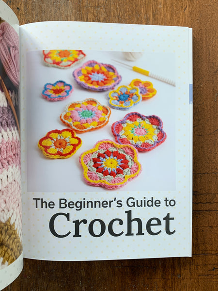 The Beginner's Guide to Crochet by Claire Montgomerie