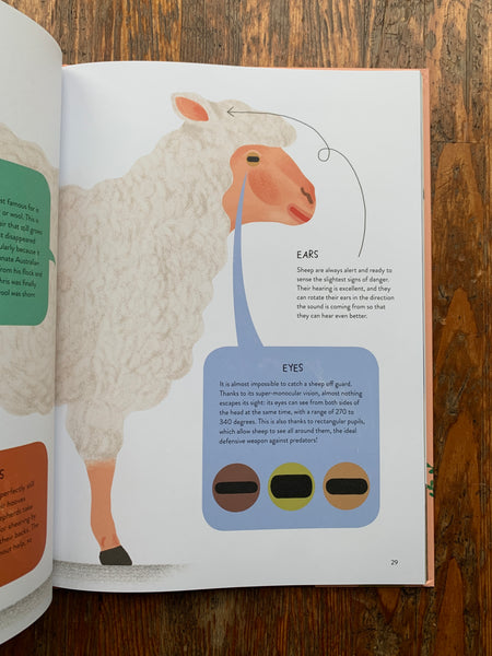 Sheepology: The Ultimate Encyclopedia