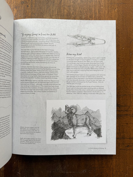 The Wonder of Wool by Justine Lee & Jess Morency