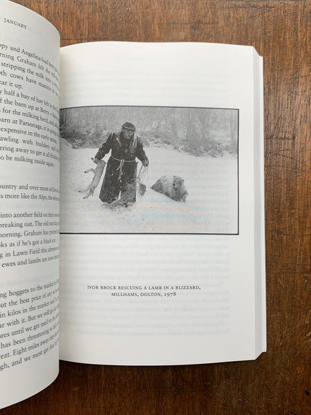 All Around the Year by Michael Morpurgo