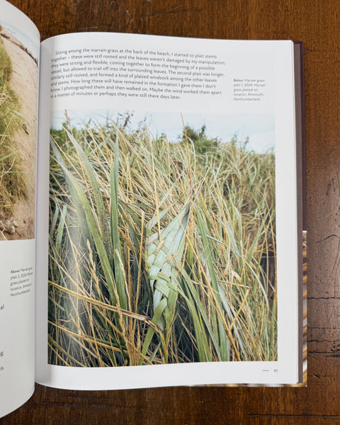 Wild Weave by Alice Fox