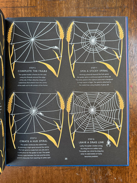 The Secret World of Spider Webs by Jan Beccaloni and Namasri Niumim