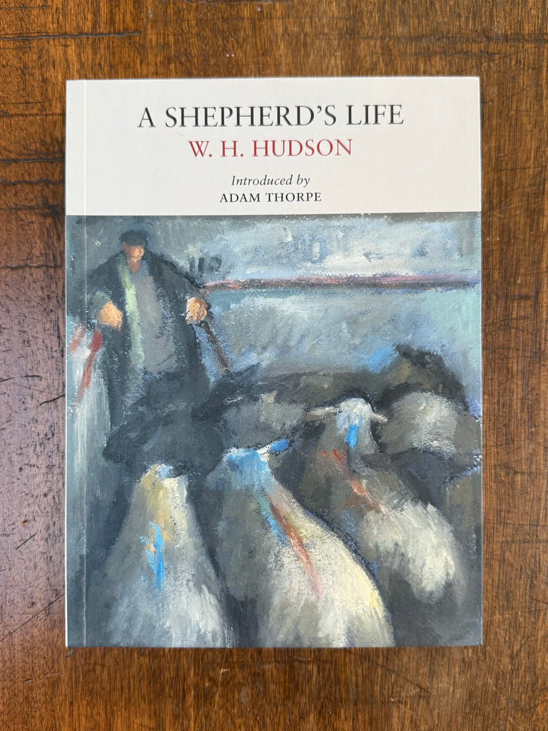 A Shepherd's Life by W.H. Hudson