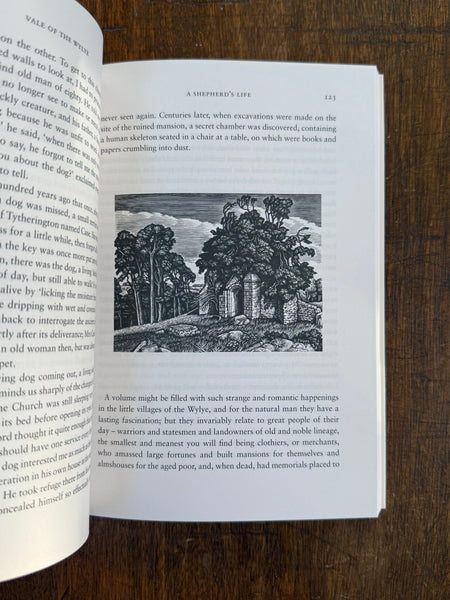 A Shepherd's Life by W.H. Hudson