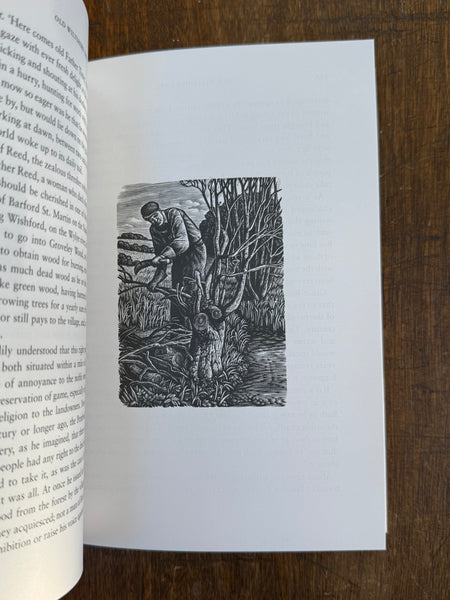 A Shepherd's Life by W.H. Hudson