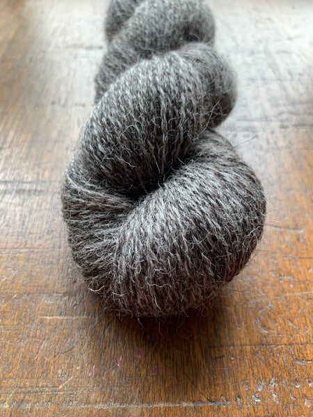 Ammonite 4ply