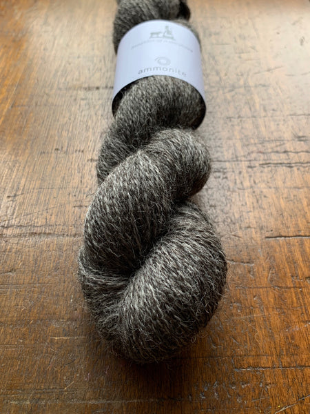 Ammonite 4ply