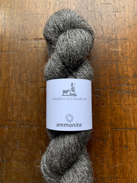 Ammonite 4ply