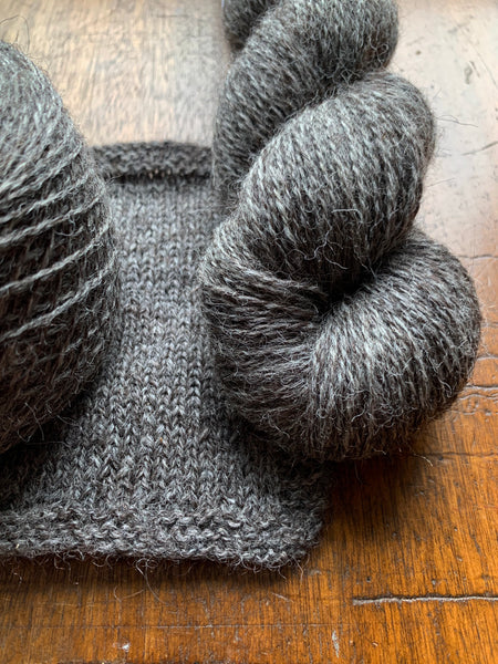 Ammonite 4ply