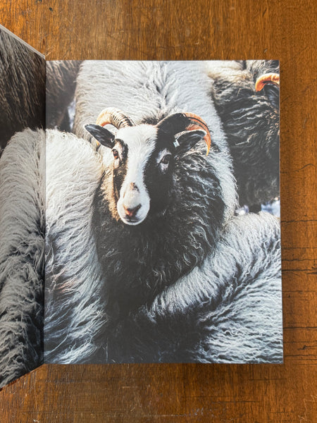 Island Knitting by Erika Åberg