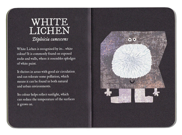 Lichen Field Guide by Rob Hodgson