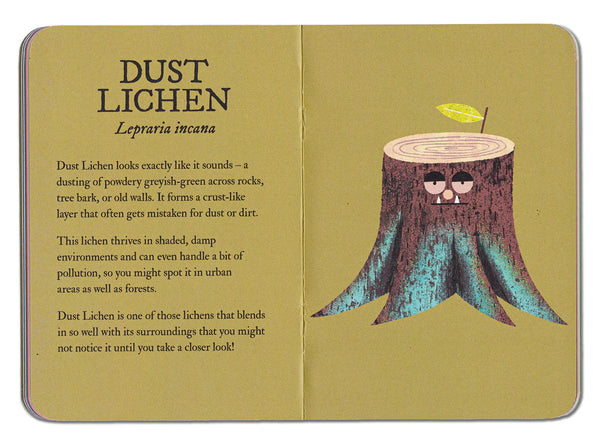 Lichen Field Guide by Rob Hodgson