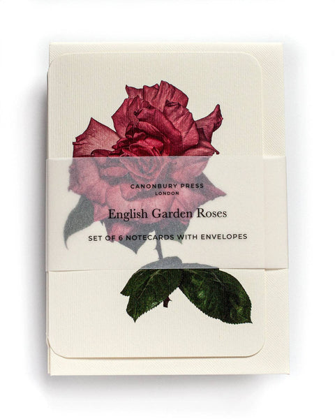 English Garden Roses: Set of 6 Greetings Cards