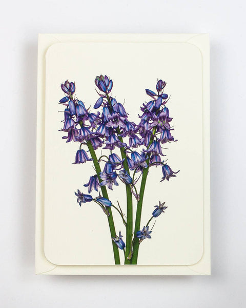 Bluebells Greeting Card