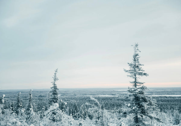 I Made This For You – Christmas Gifts & Decorations by Katrianna Raunio