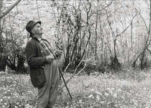 James Ravilious Greetings Cards