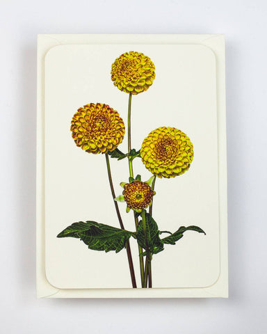 Pompom Dahlias Greeting Card