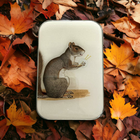 Yarn Squirrel Notions Tin