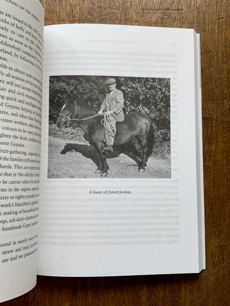 Wanderers in the New Forest by Juliette de Baïracli Levy