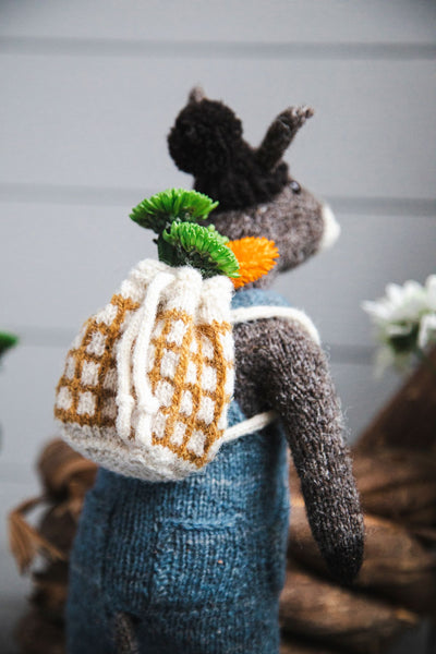 Horacio the Donkey Yarn Kit