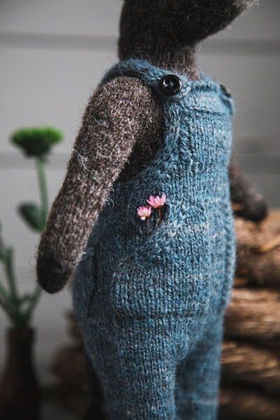 Horacio the Donkey Yarn Kit