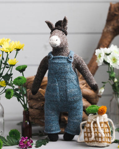 Horacio the Donkey Yarn Kit