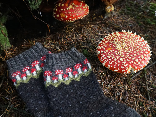 Fairy Ring Socks Kit