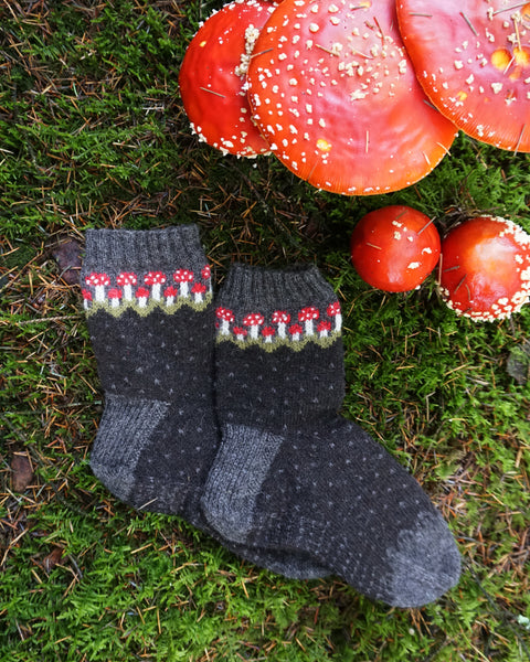 Fairy Ring Socks Kit