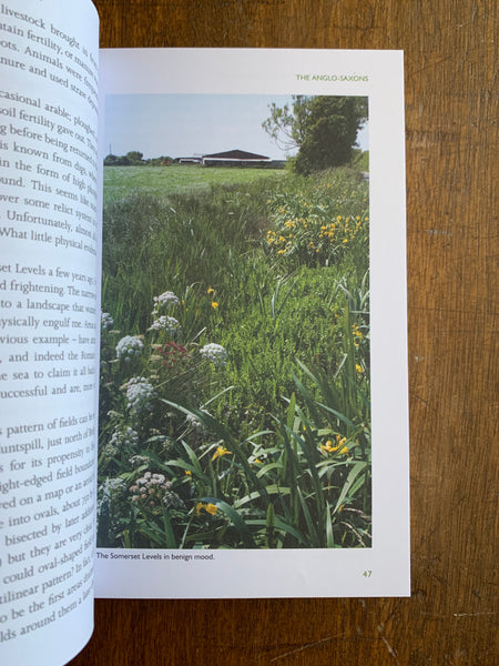 A Natural History of the Hedgerow by John Wright