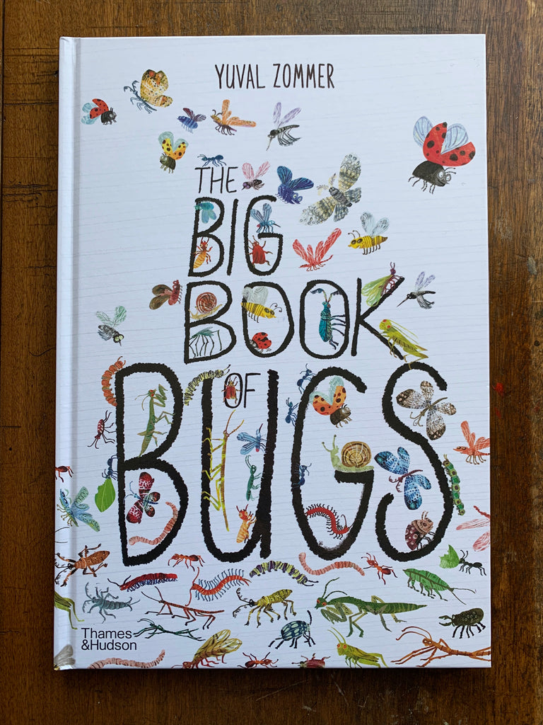 The Big Book of Bugs by Yuval Zommer