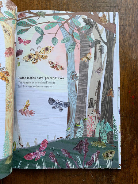 The Big Book of Bugs by Yuval Zommer