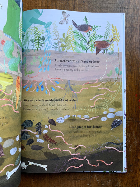 The Big Book of Bugs by Yuval Zommer