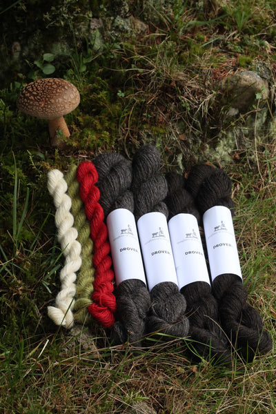 Fairy Ring Socks Kit